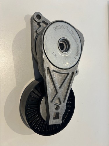 Tensionatore cinghia